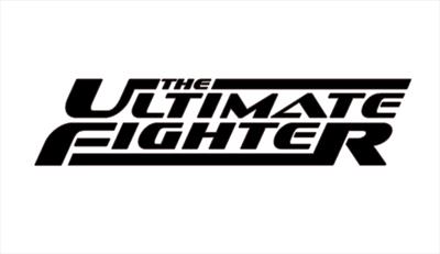 UFC - The Ultimate Fighter Season 15 Opening Round, Week 3
