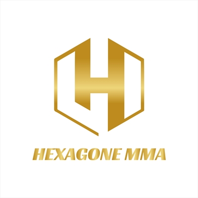 HMMA 2 - Hexagone MMA