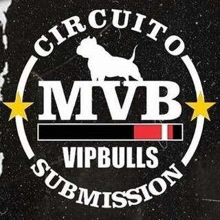 Circuito MVB - 4.0