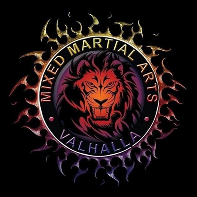 Valhalla MMA - The Art of War