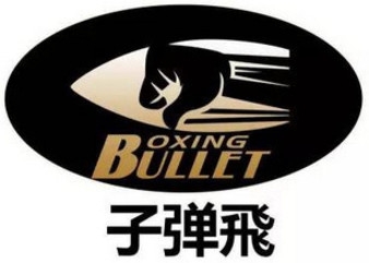 BFFC - Bullet Fly Fighting Championship 9: Heroes Fight Night, Day 8