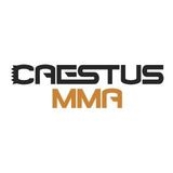 Caestus MMA 2 - Pro and Amateur MMA